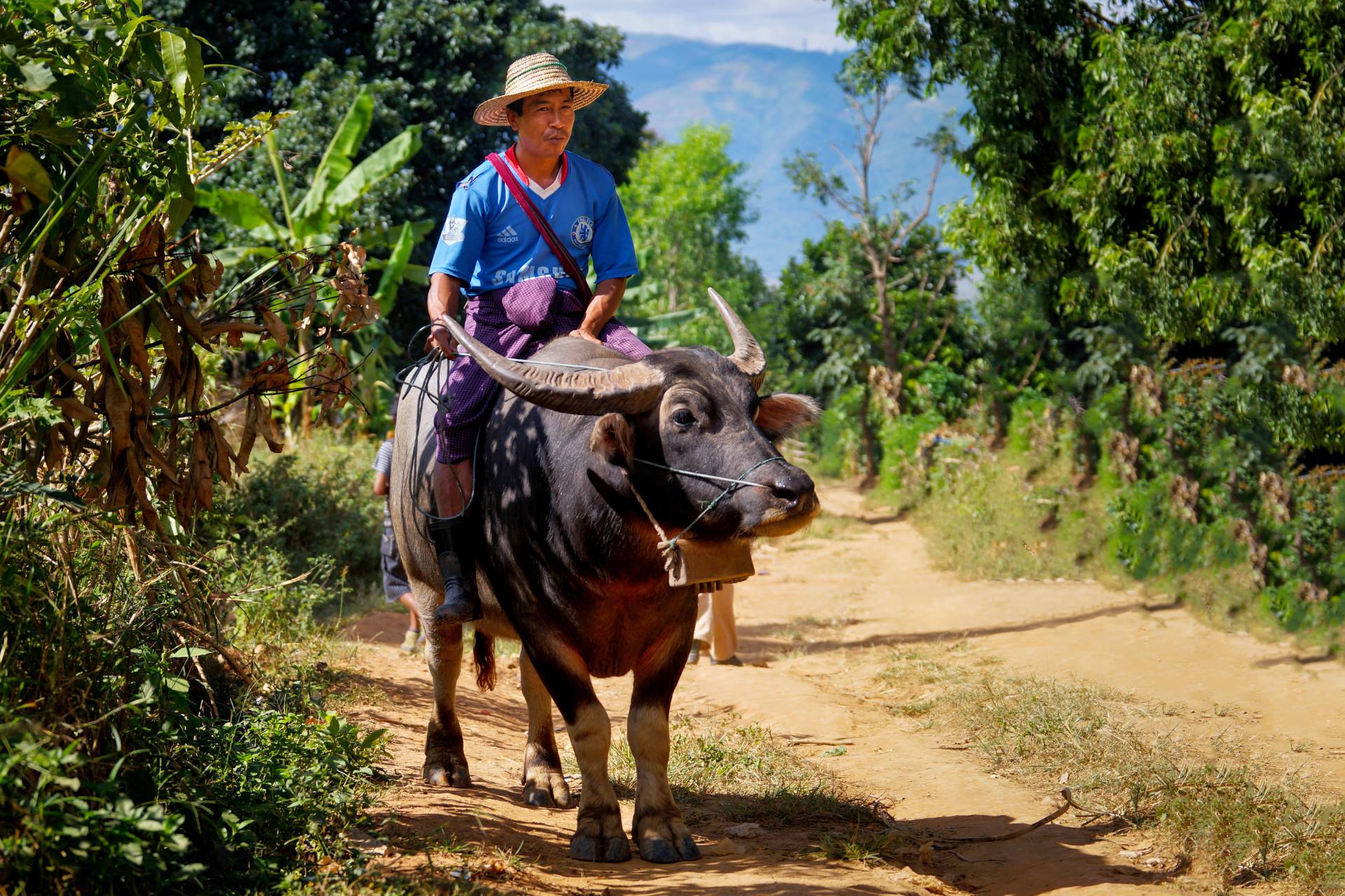 Tageswanderung durch die Umgebung von Nyaung Shwe